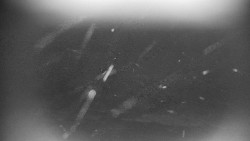 Praděd - Petrovy kameny