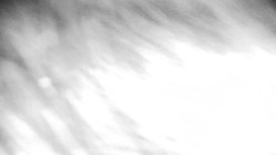 Praděd - Petrovy kameny