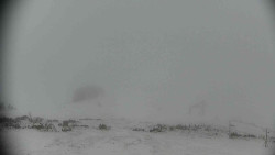 Praděd - Petrovy kameny