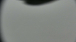 Praděd - Petrovy kameny