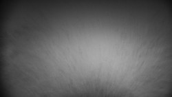 Praděd - Petrovy kameny