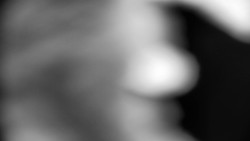 Praděd - Petrovy kameny