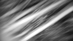 Praděd - Petrovy kameny