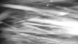 Praděd - Petrovy kameny