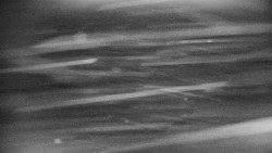 Praděd - Petrovy kameny