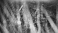 Praděd - Petrovy kameny