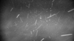 Praděd - Petrovy kameny