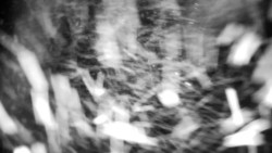 Praděd - Petrovy kameny