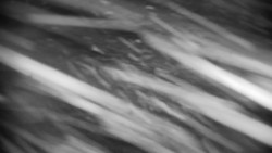 Praděd - Petrovy kameny