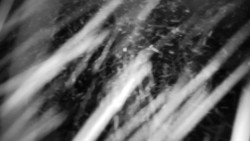 Praděd - Petrovy kameny