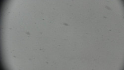 Praděd - Petrovy kameny