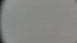 Praděd - Petrovy kameny