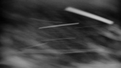 Praděd - Petrovy kameny