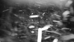 Praděd - Petrovy kameny