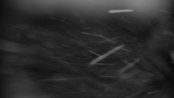 Praděd - Petrovy kameny