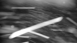 Praděd - Petrovy kameny