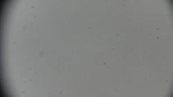 Praděd - Petrovy kameny