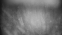 Praděd - Petrovy kameny