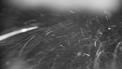 Praděd - Petrovy kameny