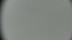 Praděd - Petrovy kameny