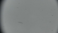 Praděd - Petrovy kameny