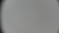 Praděd - Petrovy kameny