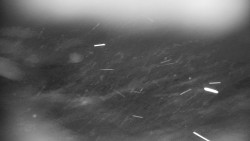 Praděd - Petrovy kameny