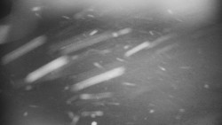 Praděd - Petrovy kameny