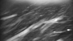 Praděd - Petrovy kameny