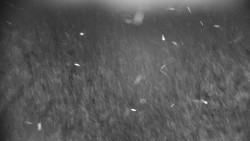 Praděd - Petrovy kameny