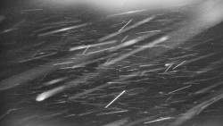 Praděd - Petrovy kameny