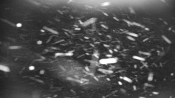 Praděd - Petrovy kameny