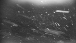 Praděd - Petrovy kameny