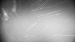 Praděd - Petrovy kameny