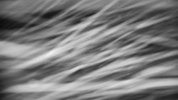 Praděd - Petrovy kameny