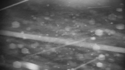 Praděd - Petrovy kameny