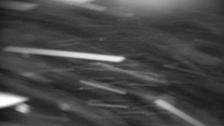 Praděd - Petrovy kameny