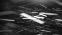 Praděd - Petrovy kameny