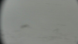 Praděd - Petrovy kameny