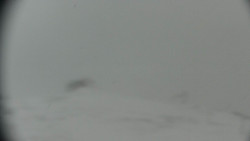 Praděd - Petrovy kameny