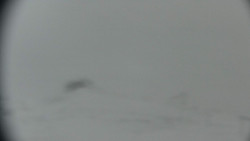 Praděd - Petrovy kameny