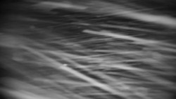 Praděd - Petrovy kameny