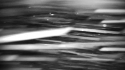 Praděd - Petrovy kameny