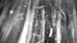 Praděd - Petrovy kameny