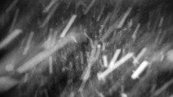 Praděd - Petrovy kameny