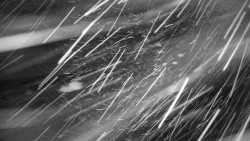 Praděd - Petrovy kameny