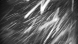 Praděd - Petrovy kameny