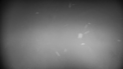 Praděd - Petrovy kameny