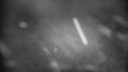 Praděd - Petrovy kameny