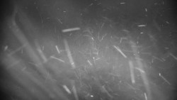 Praděd - Petrovy kameny